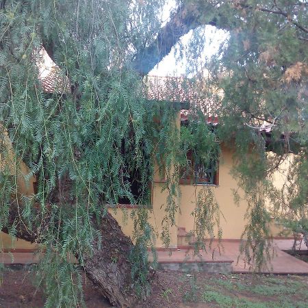 B&B Eleonora Palermo Kültér fotó